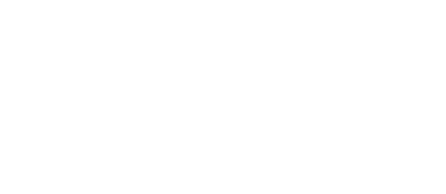 Action Doors Professional