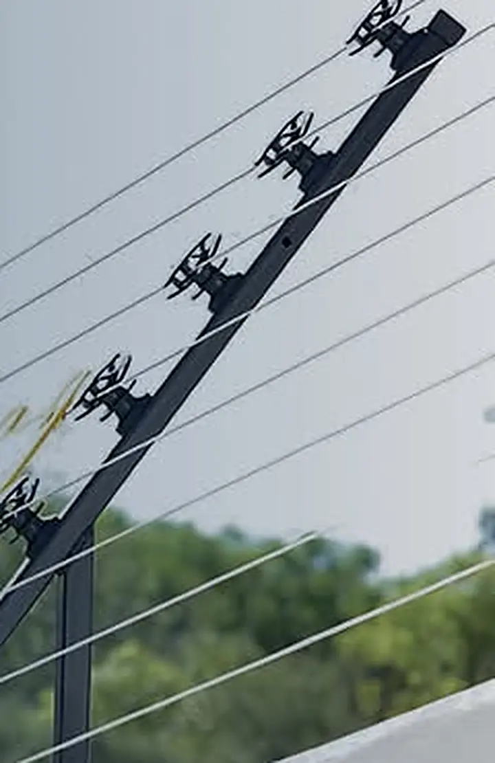 Electric fencing on a boundary wall
